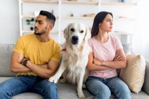 Who Keeps the Dog in a Divorce?